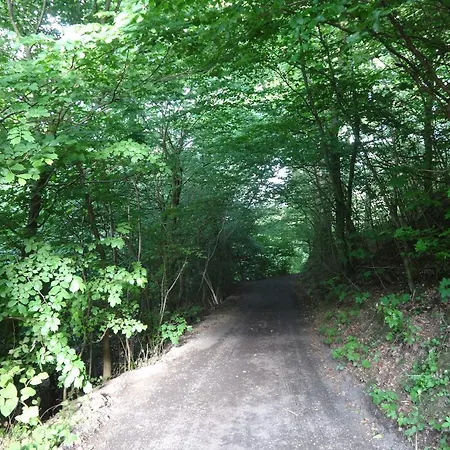 Panzió Casa Mundo Vejle