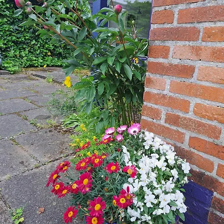 Casa Mundo 3* Vejle