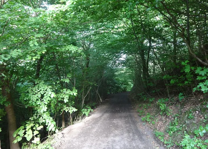 Bed & Breakfast Casa Mundo Vejle